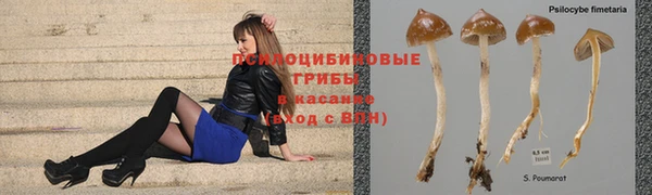 герыч Кулебаки